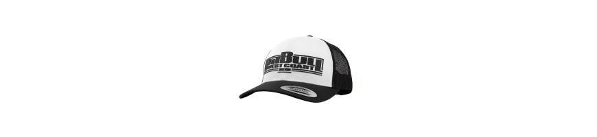 Czapka Pitbull snapback classic boxing