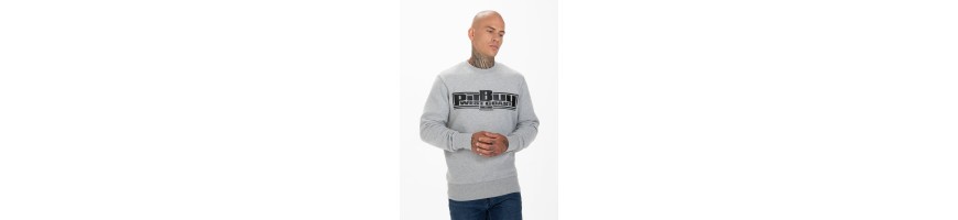 Bluza Pitbull Classic Boxing Grey