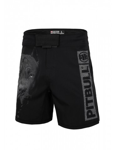 spodenki treningowe pitbull