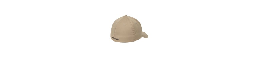 Czapka Pitbull West Coast Cap 3D Logo piaskowa