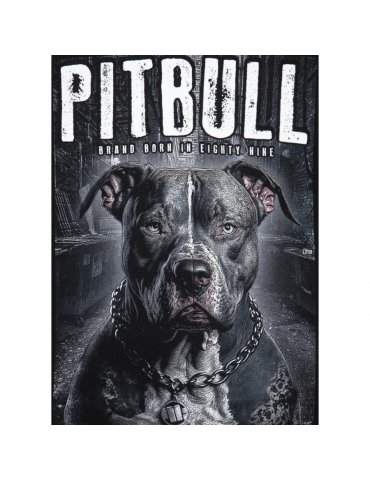 bluza pitbull west coast street king