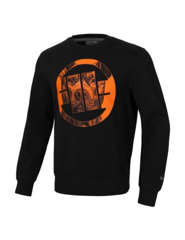 Bluza Pitbull Orange Dog 24