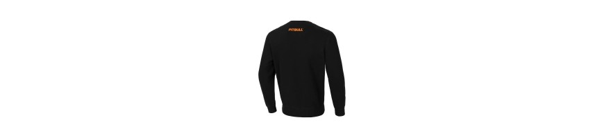 Bluza Pitbull Orange Dog 24