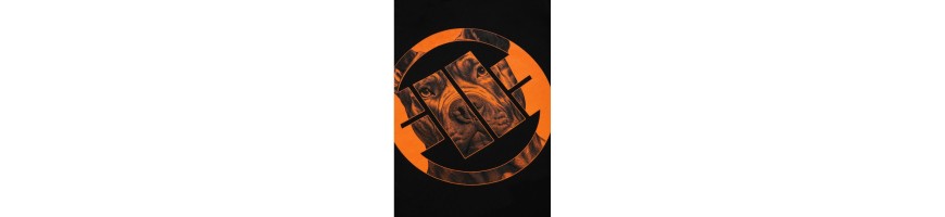 Bluza Pitbull Orange Dog 24