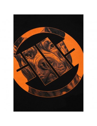 Bluza Pitbull Orange Dog 24