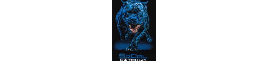 Bluza Pitbull In Blue black