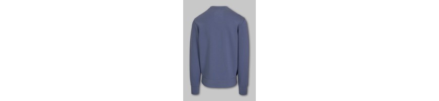 Bluza Pitbull Sampson