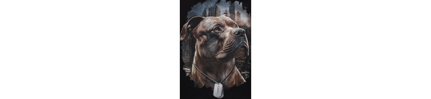 T-shirt Pitbull West Coast Hero black