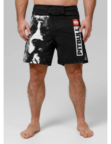 Spodenki Pitbull treningowe Performance plus StreetDog