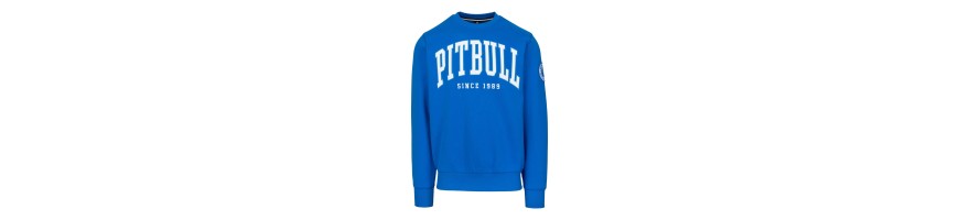 Bluza Pitbull Norton azure blue