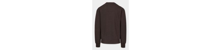 Bluza Pitbull small logo brązowa