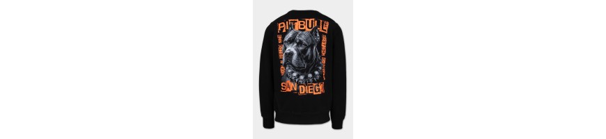 Bluza Pitbull Blacky czarna