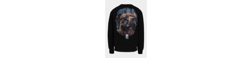 Bluza Pitbull Hero czarna