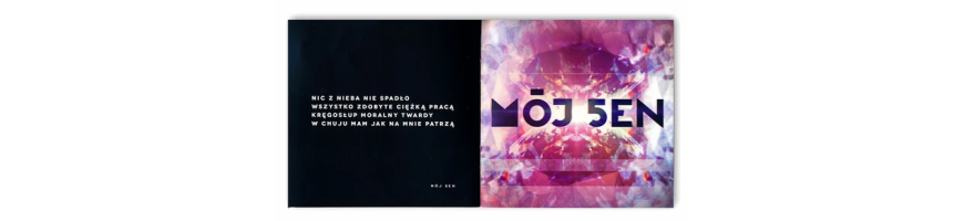 Paluch - Made in Heaven