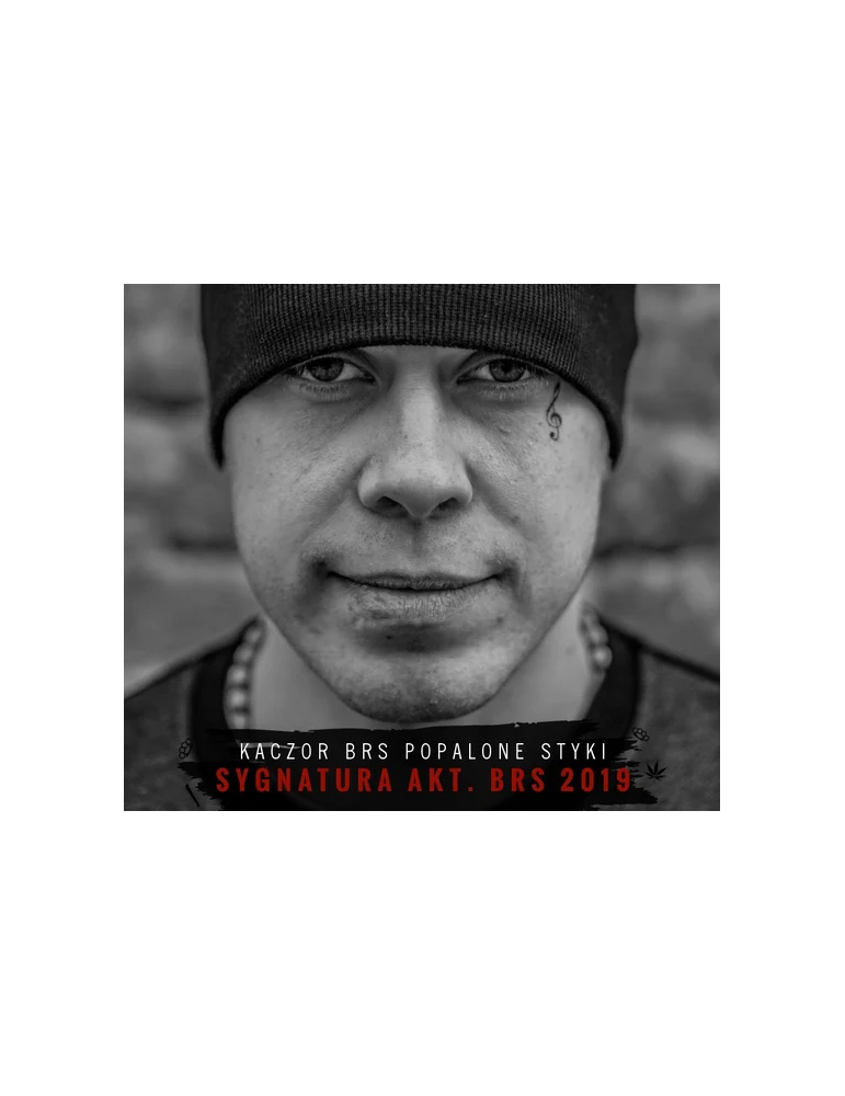 Kaczor BRS - Sygnatura AKT. BRS 2019
