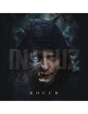 Intruz - Kocur