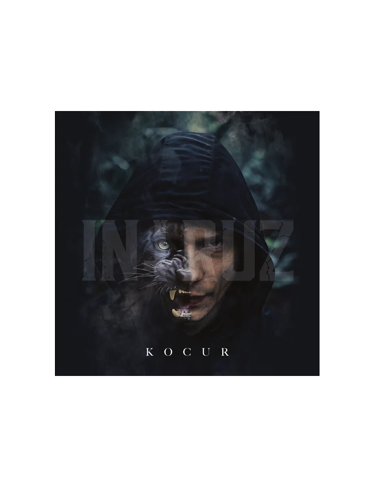 Intruz - Kocur