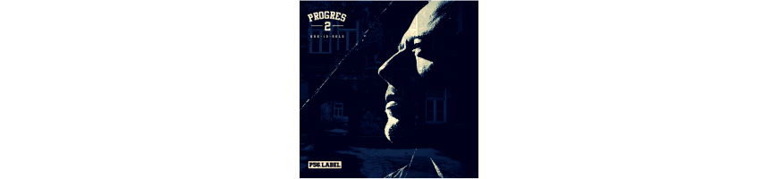 Dudek P56 - Progres 2