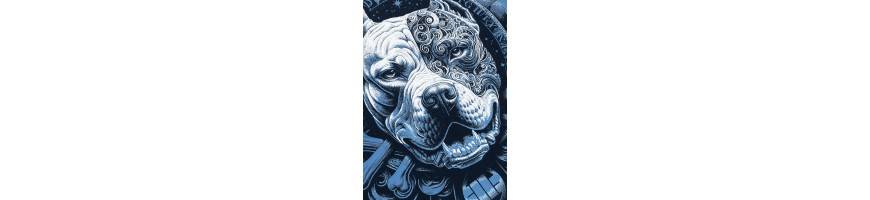 Bluza Pitbull World granatowa