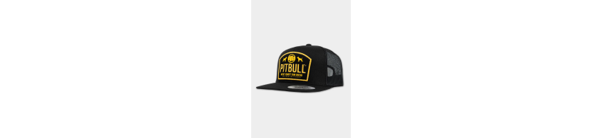 Czapka Pitbull West Coast Dogs czarna