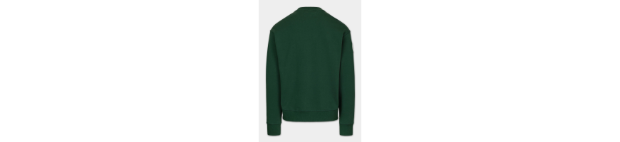 Bluza Pitbull Badger zielona