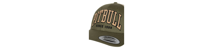 Czapka Pitbull Norton trucker low profile