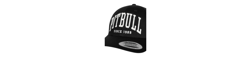 Czapka Pitbull Norton trucker low profile czarena