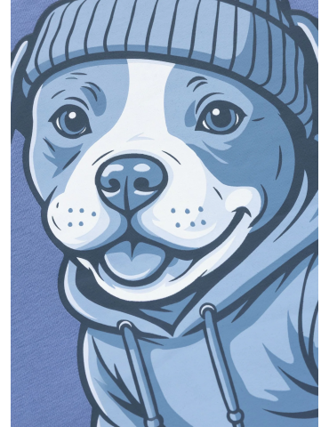 Bluza Pitbull West Coast Gentle niebieska