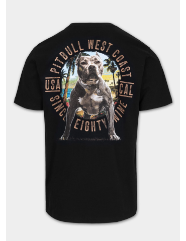 T-shirt Beach Boy męski czarny