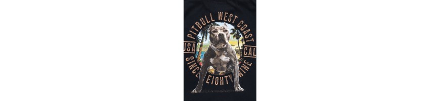 T-shirt Beach Boy męski czarny