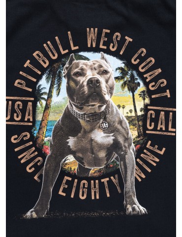 T-shirt Beach Boy męski czarny