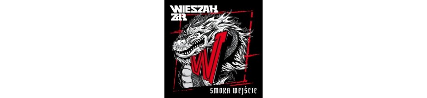 Wieszak ZDR - Wejście smoka